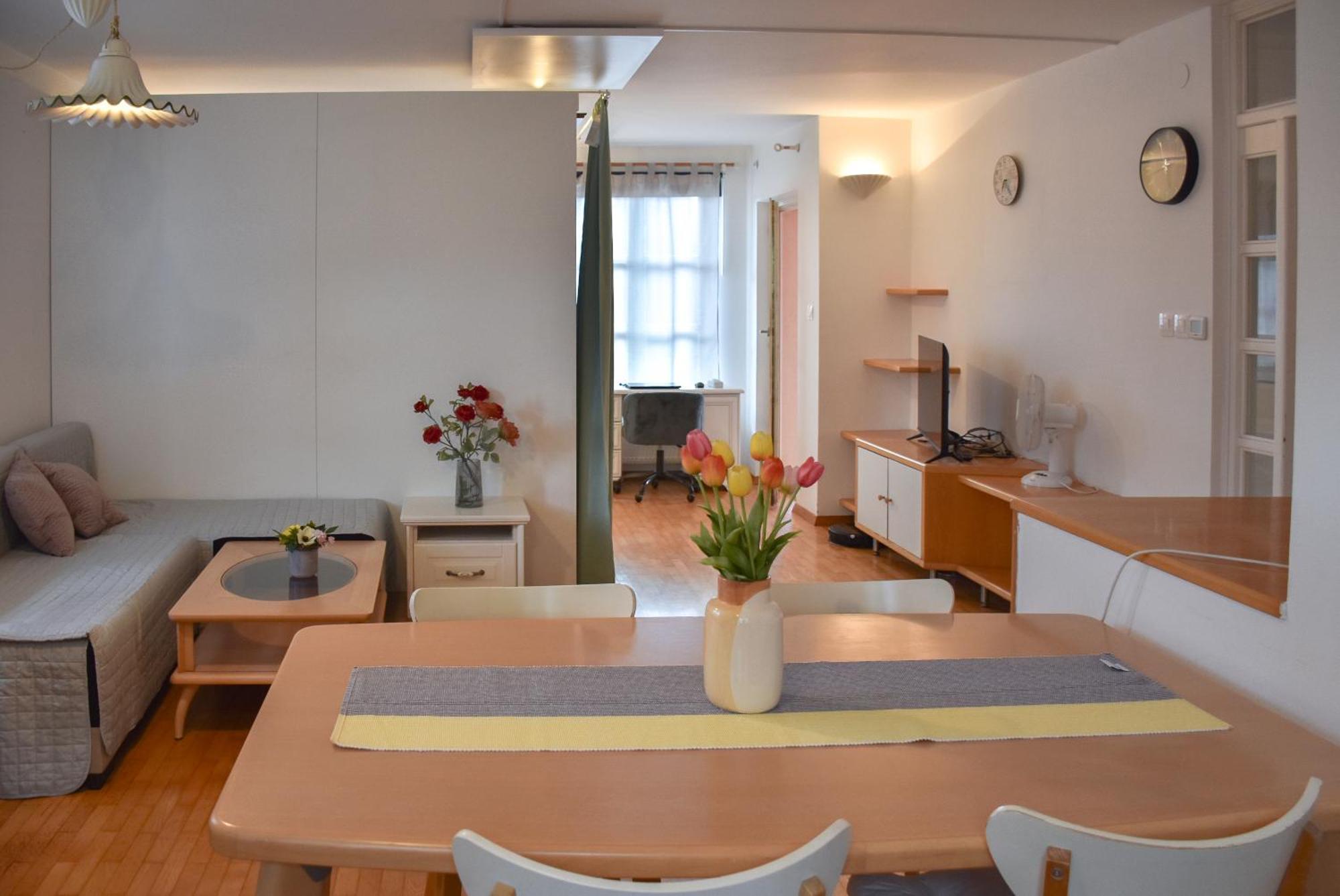Pina Apartament Lublana